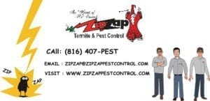 Reviews for ZipZap Termite & Pest Control