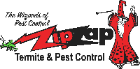ZipZap-T-shirts